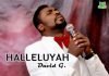 HALLELUYAH BY DAVID G