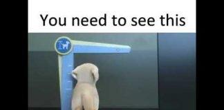 You Need To See This