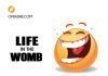 Life in The Womb by Mummy E | A Short Pidgin English Comedy