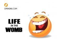 Life in The Womb Episode 2