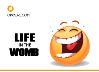 Life in The Womb Episode 2