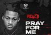 Picazo Pray For Me Mp3 Download