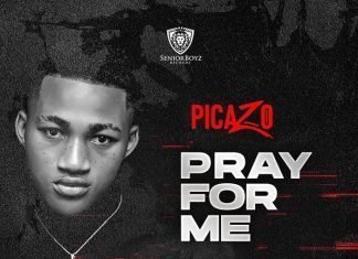 Picazo Pray For Me Mp3 Download