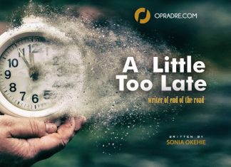 A Little Too Late Episode 1 by Sonia Okehie