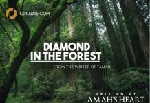 DIAMOND IN THE FOREST Episode 3 by Amah's Heart