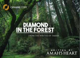 DIAMOND IN THE FOREST Episode 3 by Amah's Heart