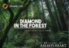 DIAMOND IN THE FOREST Episode 1 By Amah's Heart