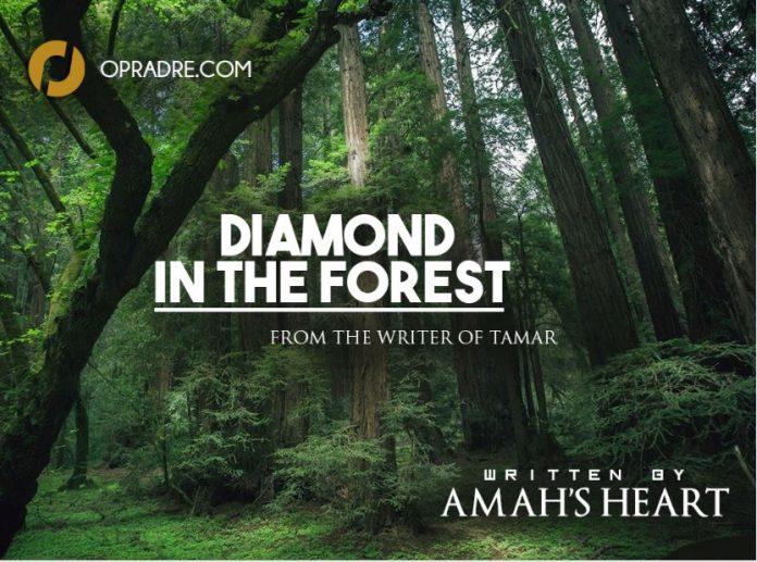 DIAMOND IN THE FOREST Episode 1 By Amah's Heart