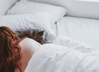 WHY CAN'T I ALLOW HER PASS THE NIGHT IN MY ROOM? By Peyor Humphrey