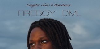 Need You Fireboy DML Mp3 Download