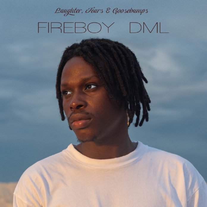 Need You Fireboy DML Mp3 Download