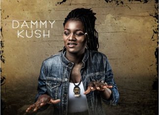Dammy Kush – Shako (Prod. Timi Jay) Mp3 Download