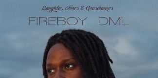 Fireboy DML - Vibration Mp3 Download