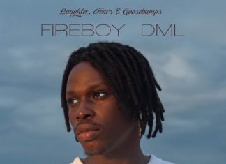 Fireboy DML - Vibration Mp3 Download