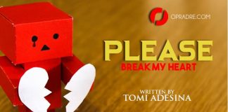 PLEASE BREAK MY HEART Episode 1 by Tomi Adesina