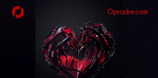 CRUSHED Episode 1 by Lizzy Oyebola Oyekunle