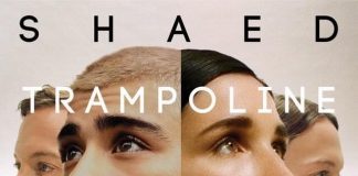 SHAED & ZAYN – Trampoline Mp3 Download + Lyrics