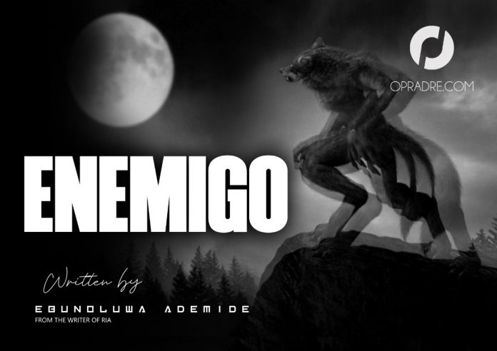 ENEMIGO by Ebunoluwa Ademide