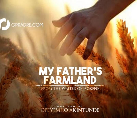 MY FATHERS FARMLAND Final Episode 39 - 40 by Opeyemi.O. Akintunde