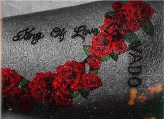 Tempted To Steal by Kizz Daniel Mp3 Download Tempted To Steal by Kizz Daniel Mp3 Download