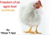 FREEDOM OF AN AGRIC FOWL by TITILOPE ‘F AJAYI