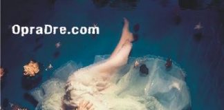 MY PAINS FROM LIFE NOVELS BY PRINCESS MOTUNRAYO DUROJAIYE