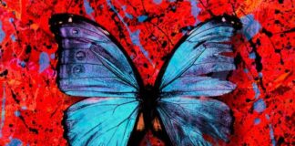 Shivers - Ed Sheeran Lyrics + Mp3 Download