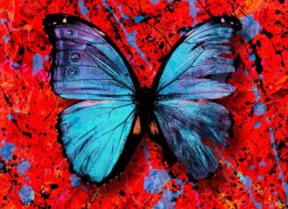 Shivers - Ed Sheeran Lyrics + Mp3 Download