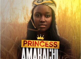 PRINCESS AMARACHI (Season two of AMARACHI THE BEAUTIFUL POOR CHILD) by Okafor Erasmus Ugochukwu