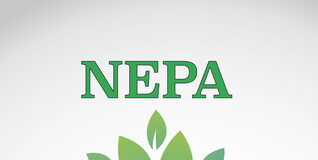 After Nepa (Funny Short Story) - Victor Firdance