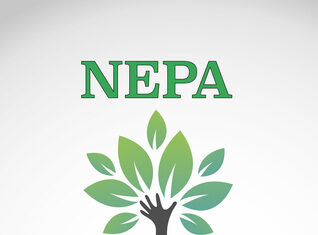 After Nepa (Funny Short Story) – Victor Firdance After Nepa (Funny Short Story) - Victor Firdance