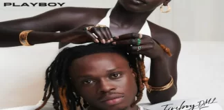 Fireboy DML – Diana Ft. Chris Brown & Shensea 320kbps Mp3 Download