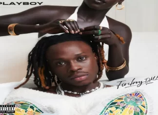 Fireboy DML – Diana Ft. Chris Brown & Shensea 320kbps Mp3 Download