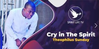 Cry in the Spirit - MIN. Theophilus Sunday Mp3 Download