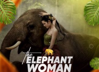 THE ELEPHANT WOMAN Final Episode – Stories of My life THE ELEPHANT WOMAN Episode 1 - 3 Stories of My life