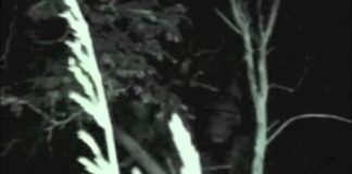 GHOST IN THE BUSH - Akangbe Emmanuel