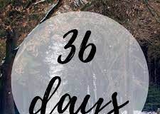 36 DAYS WITH A MAD WOMAN - Sire Prince Jhay