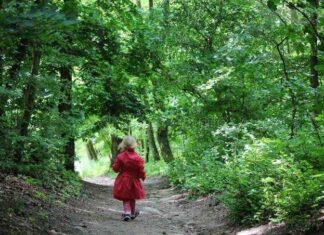 THE GIRL IN THE FOREST Final Part – Osebeyo Mark Kehinde THE GIRL IN THE FOREST - Osebeyo Mark Kehinde