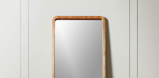 SOMEONE LIVES IN THE MIRROR - Emily Naomi