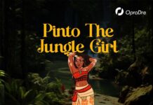 Pinto The Jungle Girl - Blessing-Enejo Abrahams Elleywrites