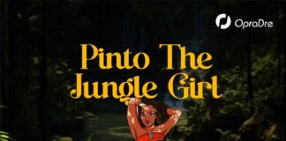 Pinto The Jungle Girl - Blessing-Enejo Abrahams Elleywrites