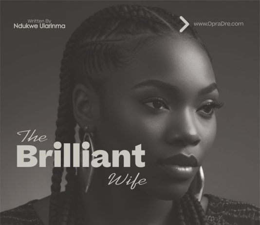 The Brilliant Wife 1 - Ndukwe Ularinma