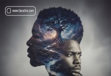 Man Wey Dey Reason Episode 4 - Flow1759